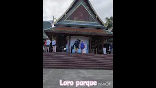 Loro parque ( parrot park ) entrance, in Tenerife, Spain 😍😍 #shorts #tenerife #loroparque