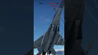 MiG-29 VS F-14 | Dogfight