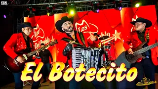 Los Hijos Del Pueblo - El Botecito (2022)