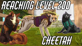 Reaching level 200 cheetah | WildCraft
