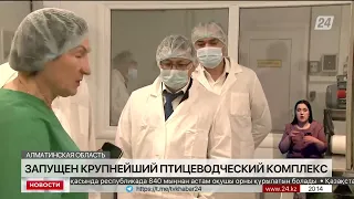 Запущен крупнейший птицеводческий комплекс