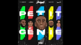 Jungeli - Petit Génie Feat. Imen ES, Alonzo, Abou Debeing & Lossa (Remix Skyrock)