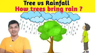 How trees bring rainfall ? Tree vs Rain SCIENCE COLLECTOR