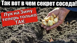 ХИТРО! ЛУК СЕВОК НА ЗИМУ ТОЛЬКО ТАК. Жаль что раньше не знал