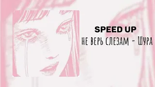 Шура - Не верь слезам (speed up)