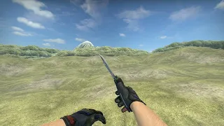 2023 - CS:GO - Butterfly Knife Animation fix it, Valve.