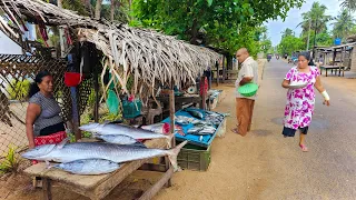 Best!! Attractive Traditional Village FishMarket And Live Fish Cutting Skills