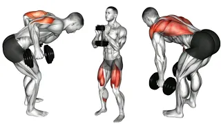 Full body dumbbell workout for beginners