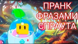 ПРАНК ФРАЗАМИ СПРАУТА БРАВЛ СТАРС!!!ФРАЗЫ СПРАУТА!!!