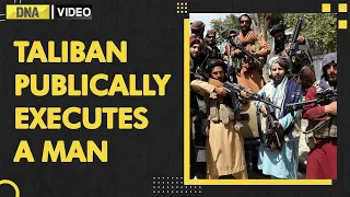 Taliban publicly execute a man accused of murder, in a first since takeover | DNA India News