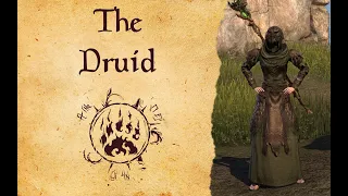 ESO - Magicka Warden RP PVE Build - The Druid