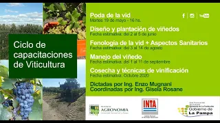 Ciclo de Encuentros Virtuales: Capacitaciones de viticultura: Manejo del viñedo