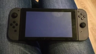 Nintendo Switch blackscreen handheld-mode