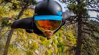 American Squirrel Wingsuit Dream