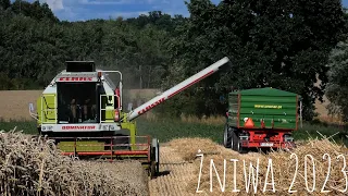 ☆Żniwa 2023☆|Claas & Massey Ferguson & Ursus| Kacper 78 ㋡