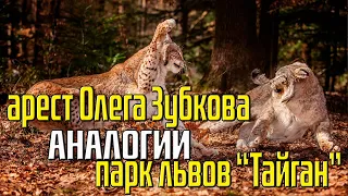 Олег Зубков - парк львов "Тайган" - аналогии