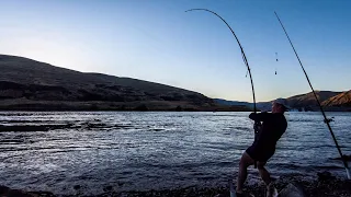 Shore Fishing for Sturgeon (this is how it goes sometimes)