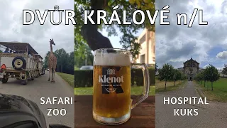 Dvůr Králové nad Labem 2023 | PUBS | ZOO SAFARI | HOSPITAL KUKS