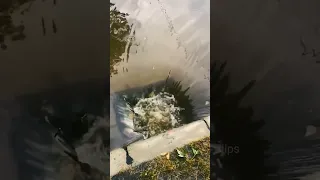 Flooded street drain getting unclogged with large whirlpool!