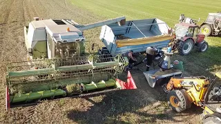 Ackerbohnenernte 2023 mit Fortschritt E524 und Reinigung auf dem Feld.