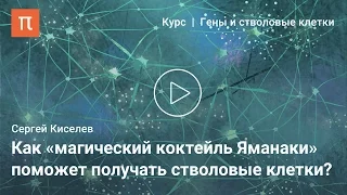 Способы получения плюрипотентных клеток — Сергей Киселев