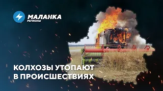 📍Чиновники спалились / Покушение на урожай / Распродажа z-мобиля