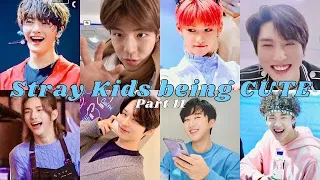 Stray Kids being Cute Kids pt. 11