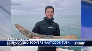 Diver finds 60-pound mastodon tusk off Florida coast
