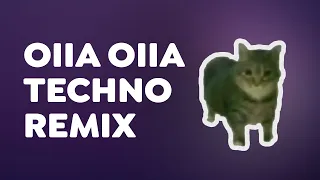 OIIA OIIA TECHNO REMIX 🎵🐱 (Spinning Cat Dance)