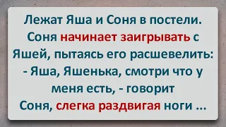 ✡️ Соня Расшевелила Яшу! Еврейские Анекдоты! Анекдоты про Евреев! Выпуск #157