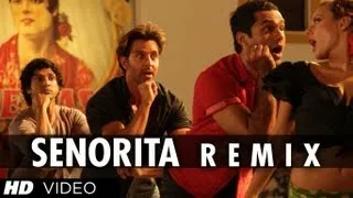 'Senorita Remix (Full video song) 'Zindagi na milegi dobara'