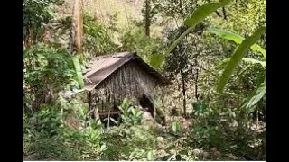 Como es Vivir en la selva- Visitando a un Amigo