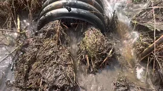 Breaking the beaver dam. then major flooding