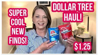 DOLLAR TREE HAUL | COOL NEW FINDS | $1.25 | I LOVE THE DT😁 #haul #dollartree #dollartreehaul