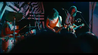 The Lemon Twigs - Peppermint Roses (Live at the Cactus Club)