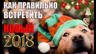 КАК ПРАВИЛЬНО ВСТРЕТИТЬ НОВЫЙ 2018 ГОД