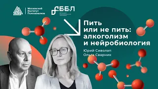 Пить или не пить: алкоголизм и нейробиология