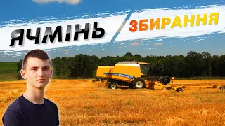 Збір врожаю ячменю. Яка врожайність? Що з ним робимо?