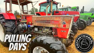 Pulling Days 2022 Edling  / Vlog