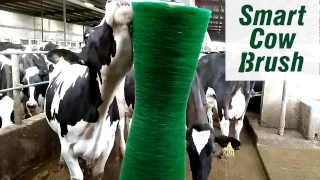 J&D Smart Cow Brush