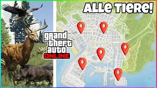 So findest du ALLE TIERE der WILDLIFE PHOTOGRAPHY CHALLENGE in GTA 5 ONLINE❗️ Tier Locations GTA 5