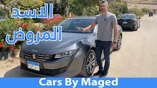 الاسد المروض | Peugeot 508 بيجو