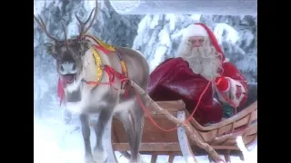 Papá Noel y renos🦌🎅 Salida de Santa Claus en Laponia Finlandia Rovaniemi - Feliz Navida Polo Norte