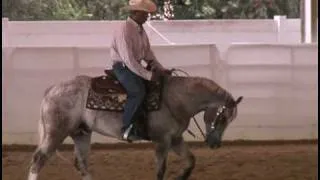 Some Kinda Shine on Inside Reining with Trainer Jose Seutter