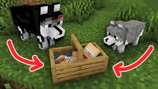 Wolf Life: Abandoned Baby Herobrine in Jungle Needs Help - Minecraft Animation