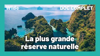 Palawan : une île restée inexplorée I WIDE