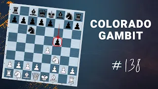 Colorado Gambit | The Refutation - Daily Lesson with a Grandmaster 138