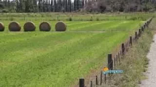 Una hectárea que produce un 80% más