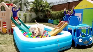 예준이 집 수영장과 미끄럼틀에서 강아지와 함께 놀아요! 어린이 놀이터 색깔놀이 Kids Water Pool Slides Toy with Dog