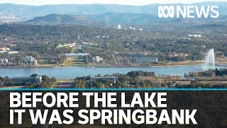 What Canberra's Lake Burley Griffin replaced — cows, racecourses and Springbank Homestead | ABC News